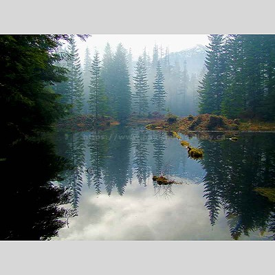 Beaver Pond